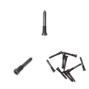 Screw compatible with iPhone 15, iPhone 16, gray, 10 pcs., external, natural titanium 